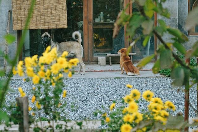 這是一個自由的私人島嶼，給居民一種舒適、溫暖和愛的感覺。在漫長的歲月里，家是一個永恒、純潔而強大的存在。